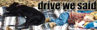 dws_banner_1000.jpg