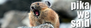 dws_banner_1050.jpg