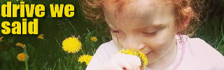 dws_banner_1213.jpg