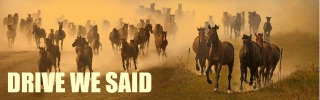 dws_banner_133.jpg
