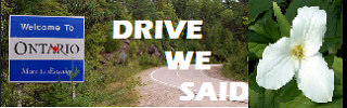 dws_banner_1441.jpg