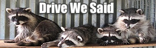 dws_banner_1487.jpg