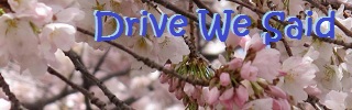 dws_banner_1522.jpg