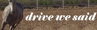 dws_banner_253.jpg