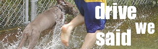 dws_banner_270.jpg