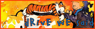 dws_banner_276.jpg