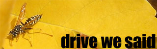 dws_banner_344.jpg