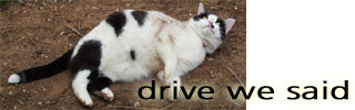 dws_banner_401.jpg