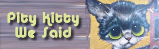dws_banner_443.jpg