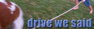 dws_banner_722.jpg