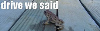 dws_banner_774.jpg