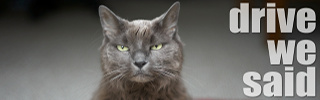 dws_banner_939.jpg