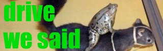 dws_banner_99.jpg